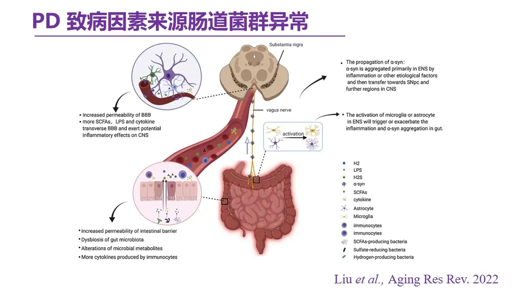 纳米硒科研成果