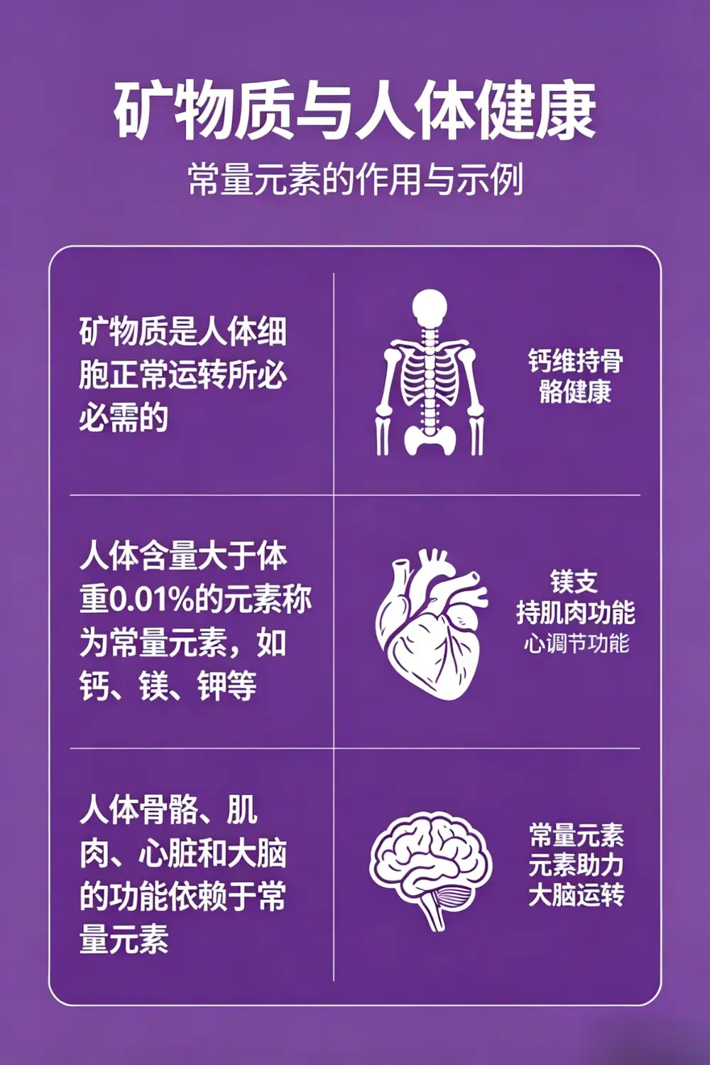 营养/毒性元素检测