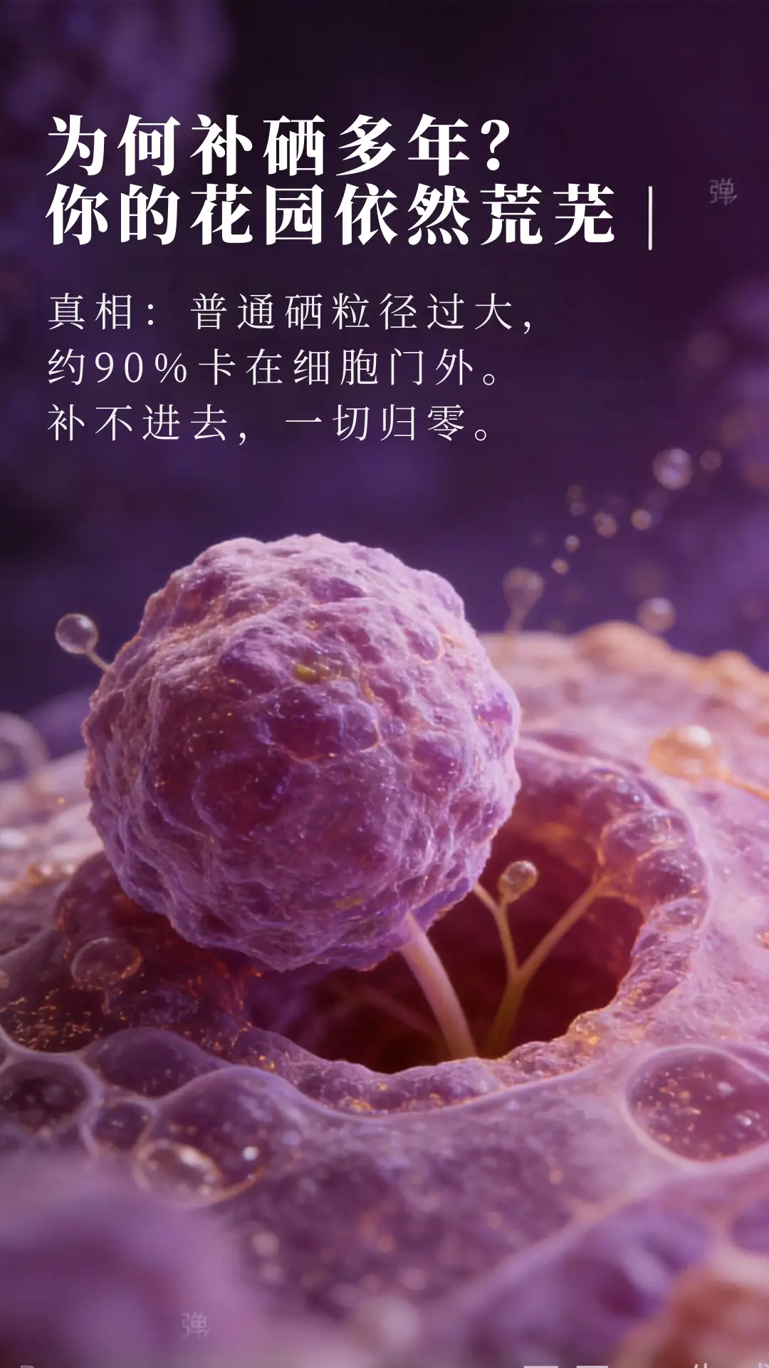 产品详情页